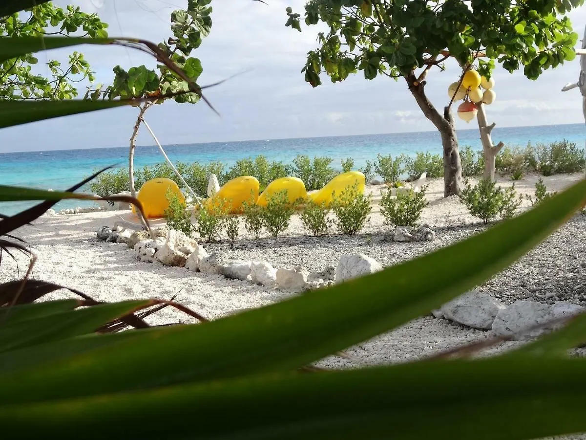 招待所 Pension Tiputa Lodge Rangiroa